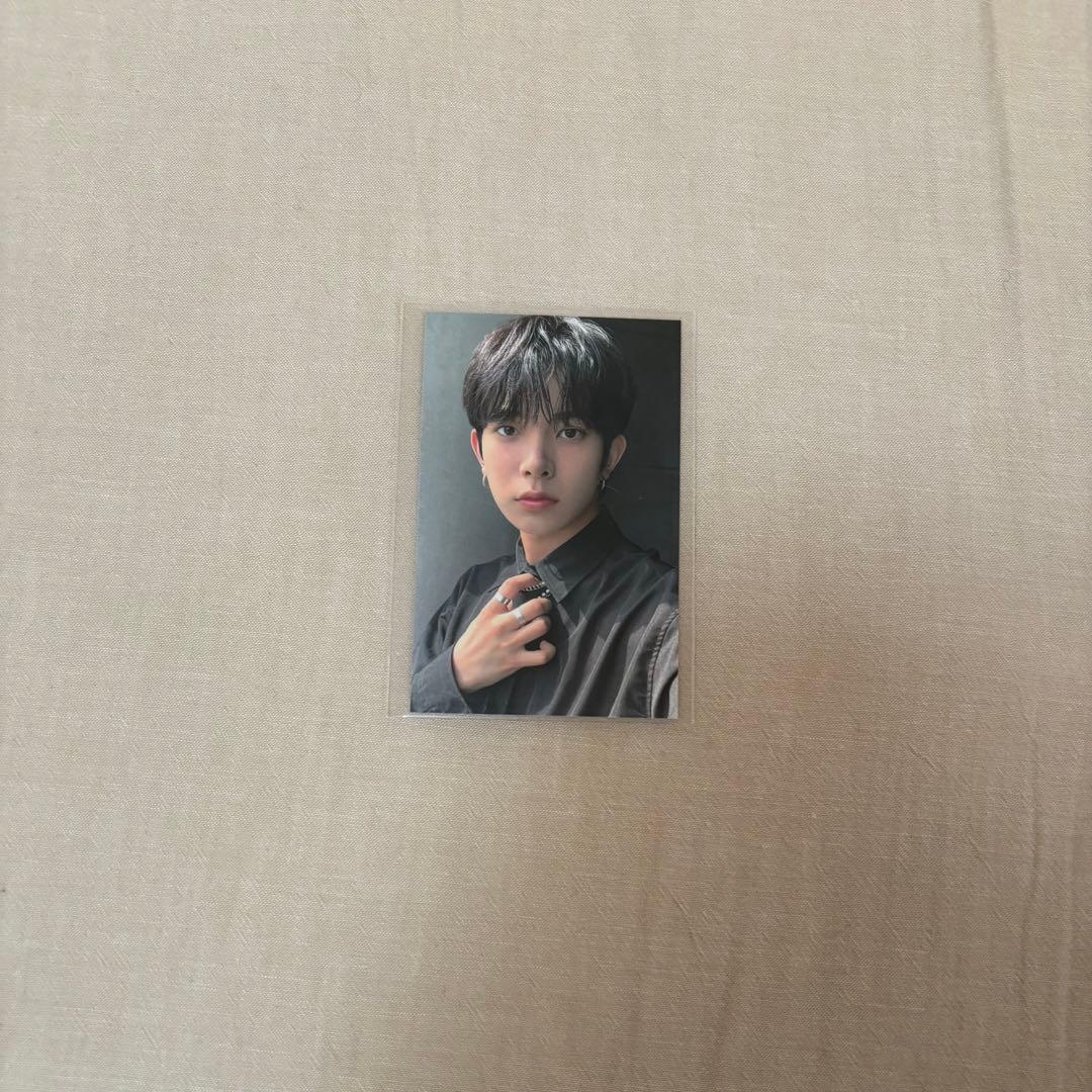 ヒスン　儚い　ラキドロ