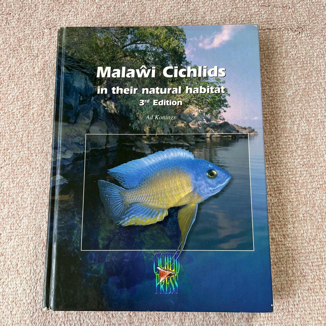 洋書　Malawi Cichlids マラウイ シクリッド