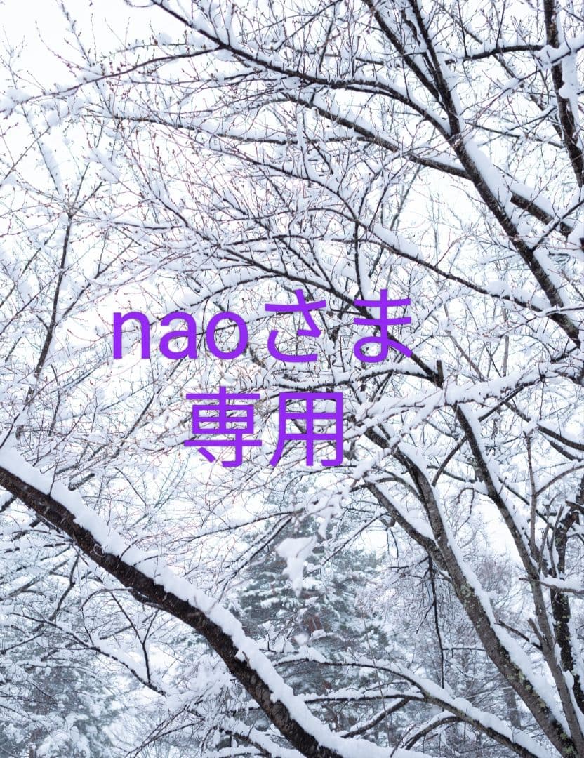 ロシニョールROSSIGNOL HERO FISスキー 170cm　GS