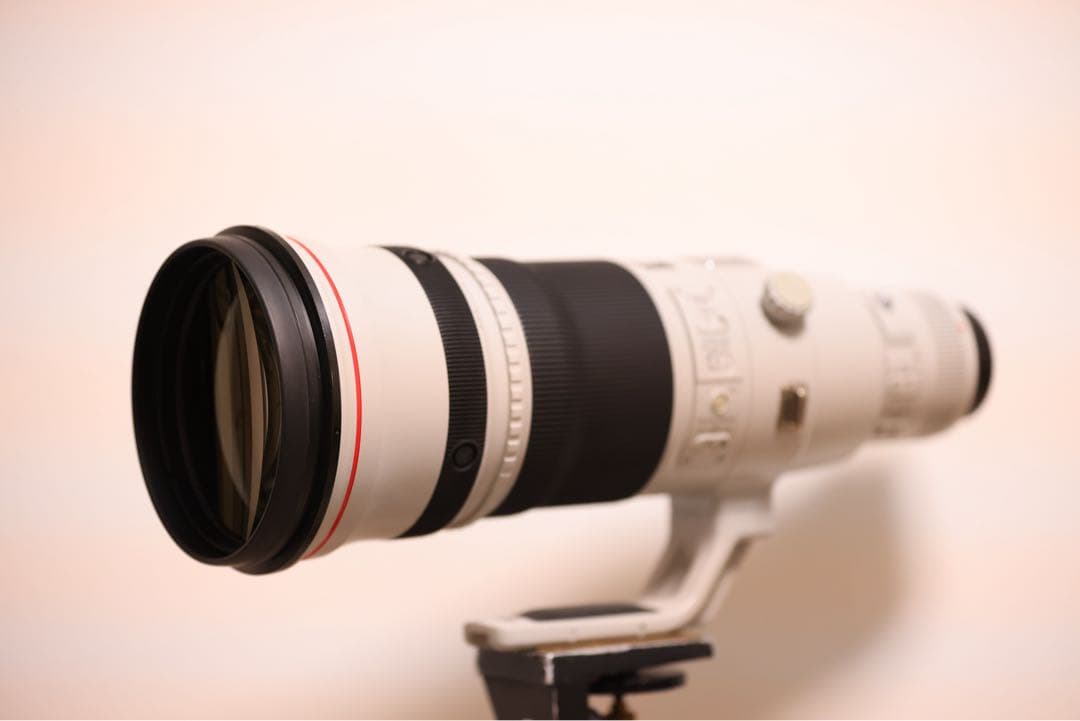 最終値下げCanon EF400mm F2.8L IS II USM ヨンニッパ