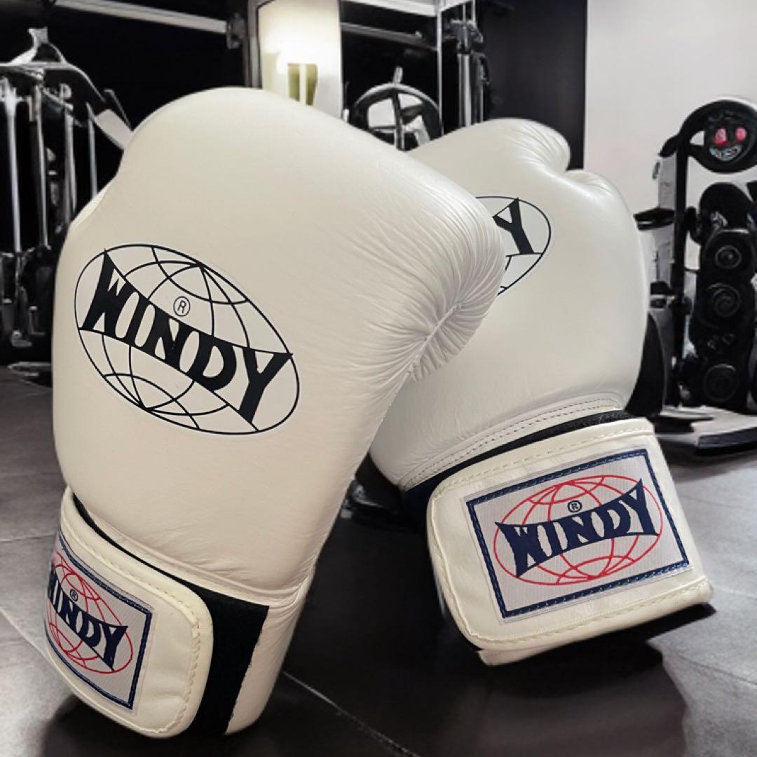 WINDY ボクシンググローブ BGVH 12oz