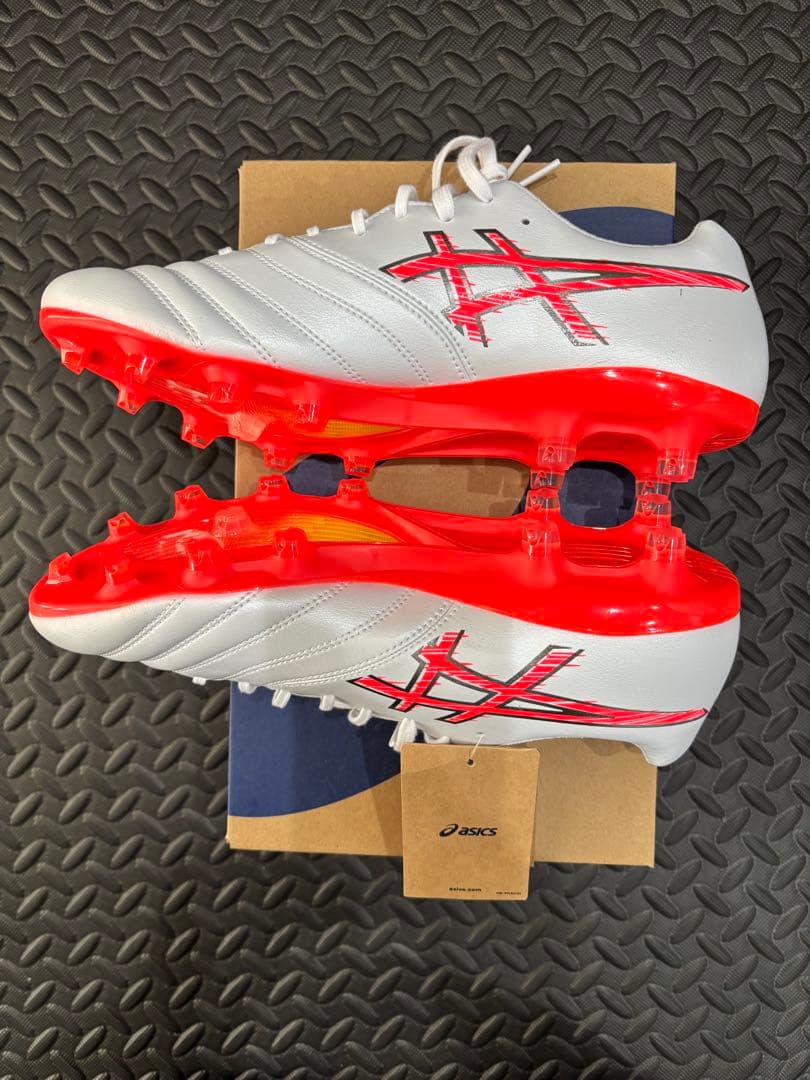 シューズ DS LIGHT X-FLY PRO 3 1101A072-103 27cm