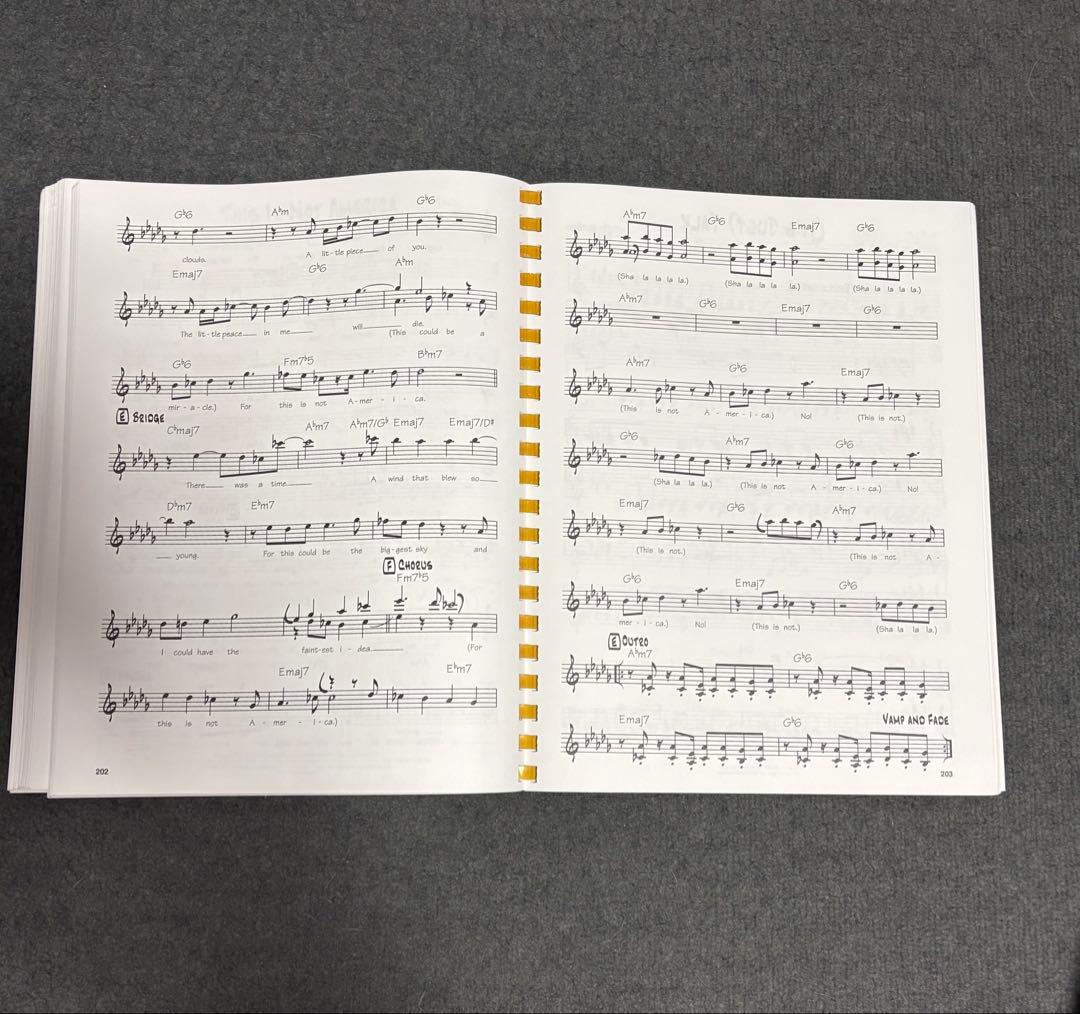 PAT METHENY SONG BOOK パット メセニー ソング ブック美品