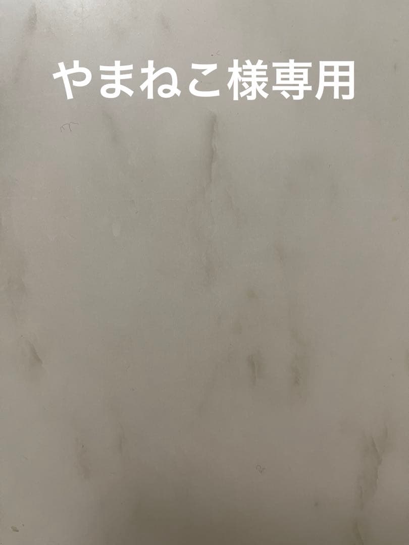 シャネル ヘアクリップノベルティ 2個セット