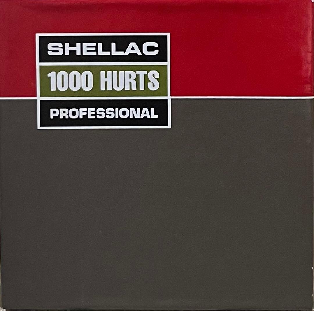 Shellac Steve Albini スティーヴ・アルビニ シェラック CD