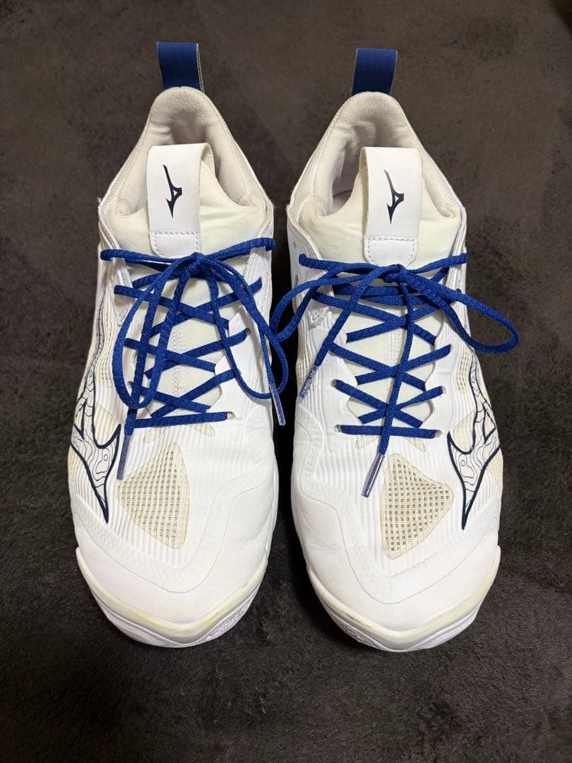 Mizuno ウェイブモーメンタム3バレーボールシューズ