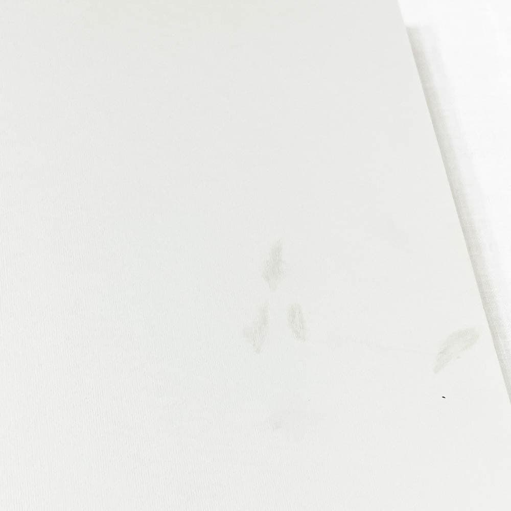 Cy Twombly Cycles and Seasons 画集.