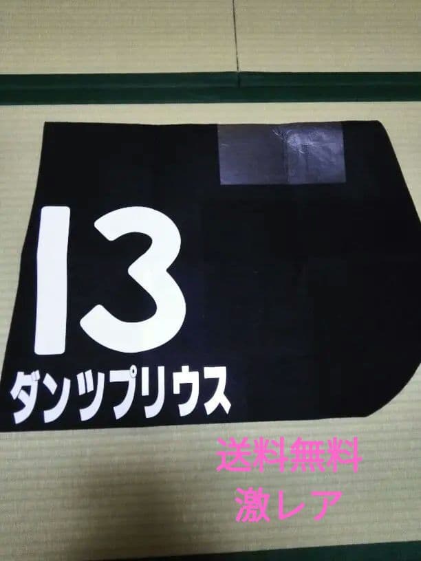 【超激レア】　実使用ゼッケン　ダンツプリウス号