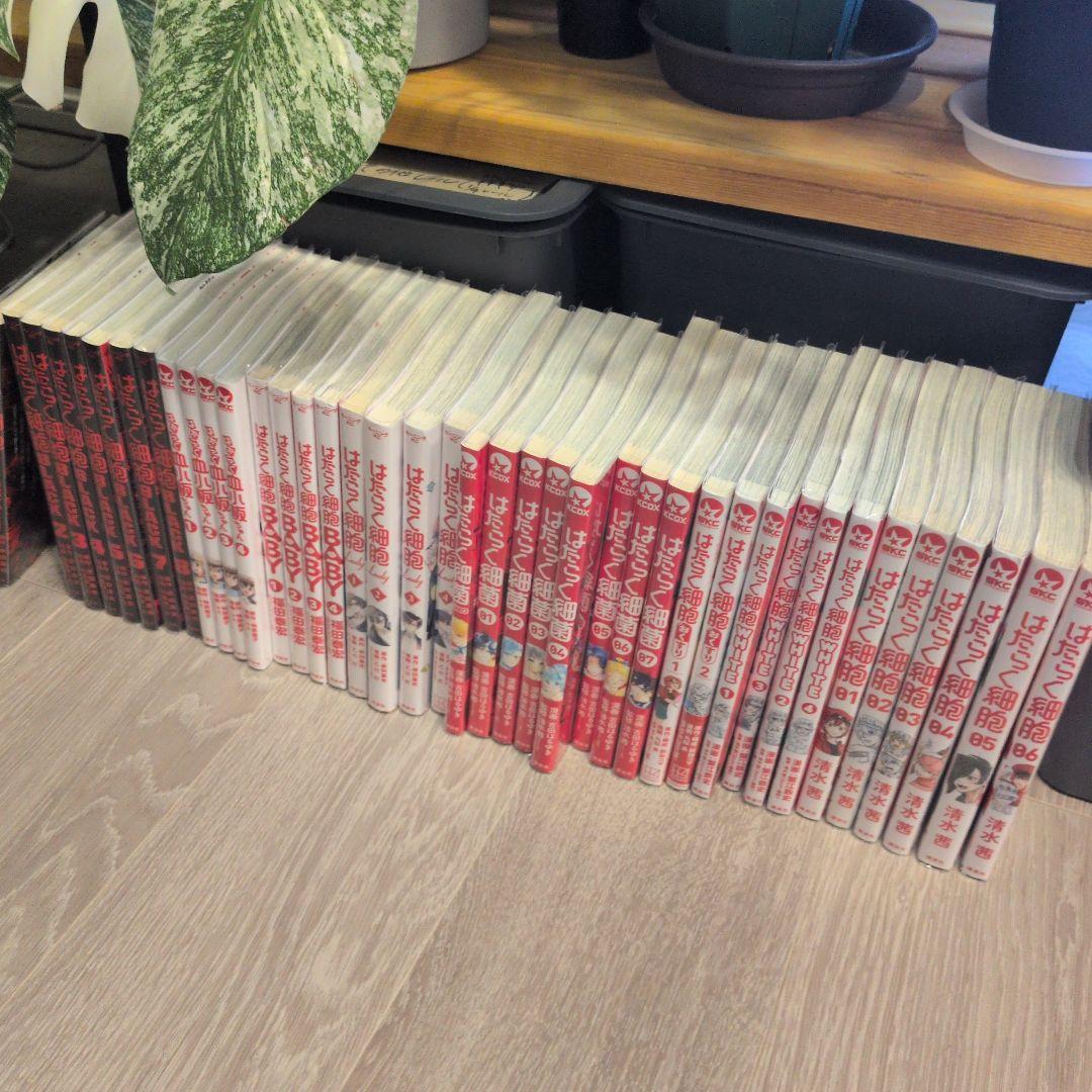 はたらく細胞 全巻セット　black　血小板　lady　細菌　おくすり　whit