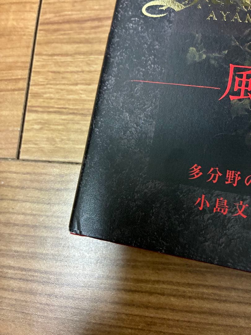 Santa Lilio Sangre緋いユリ : 小島文美画集