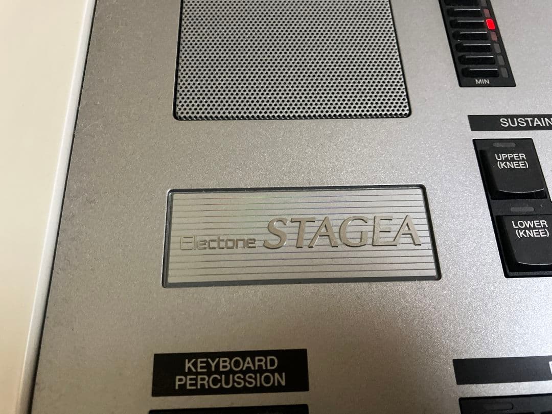 【専用】Yamaha ELS-02 スタンダード　2015年製　送料別