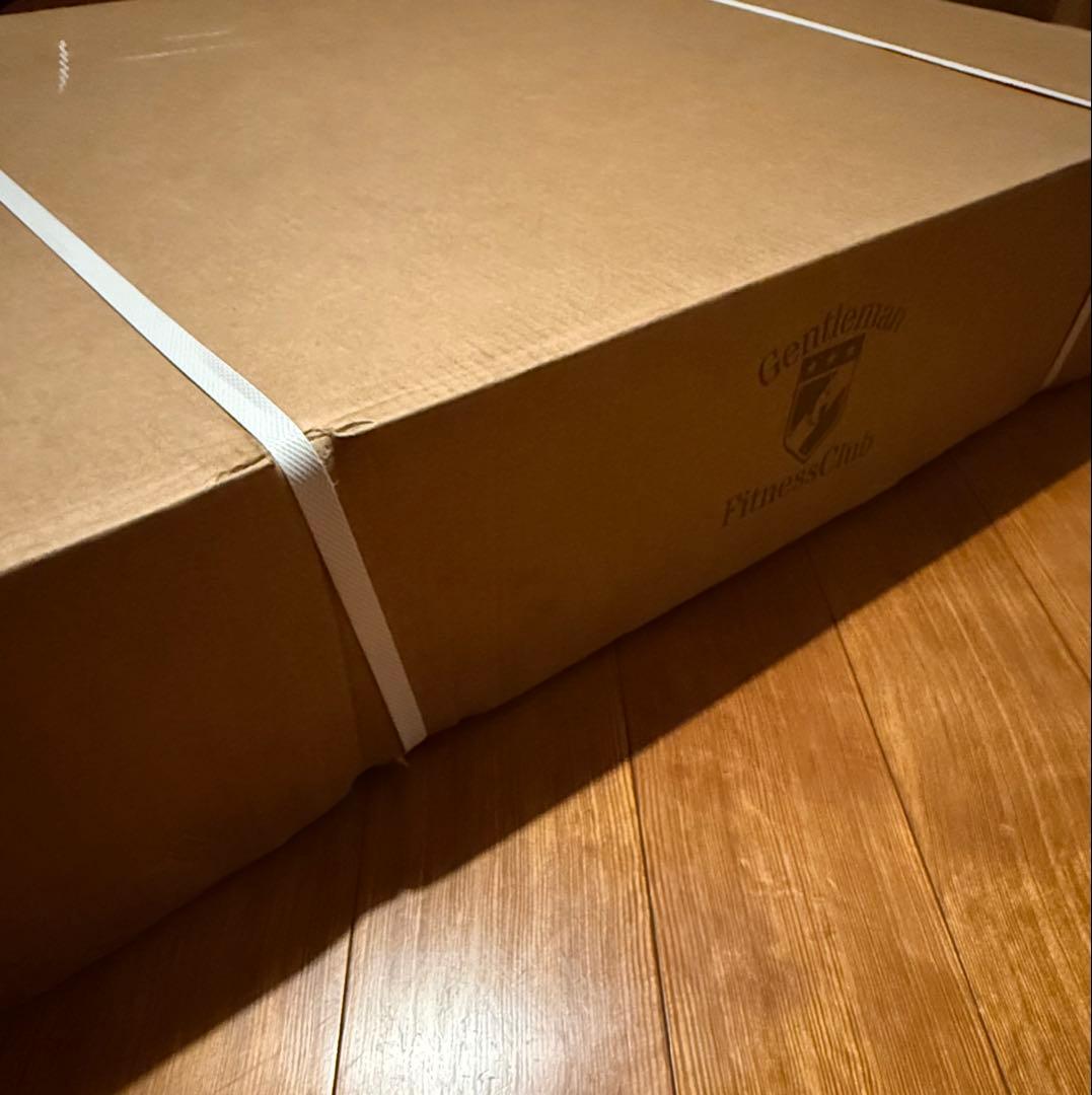 GFC 自立型 レッグストレングス　新品未開封