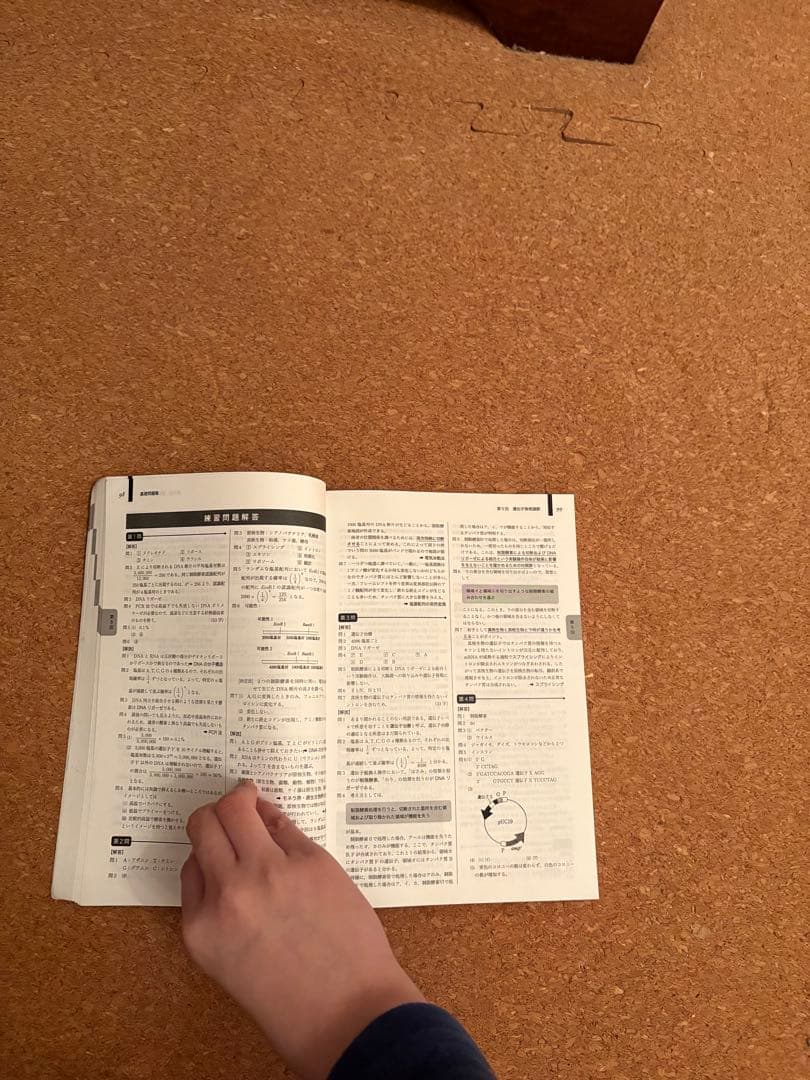 く*ン様 一年分2024鉄緑会生物Aクラス（上位）一式全てあります