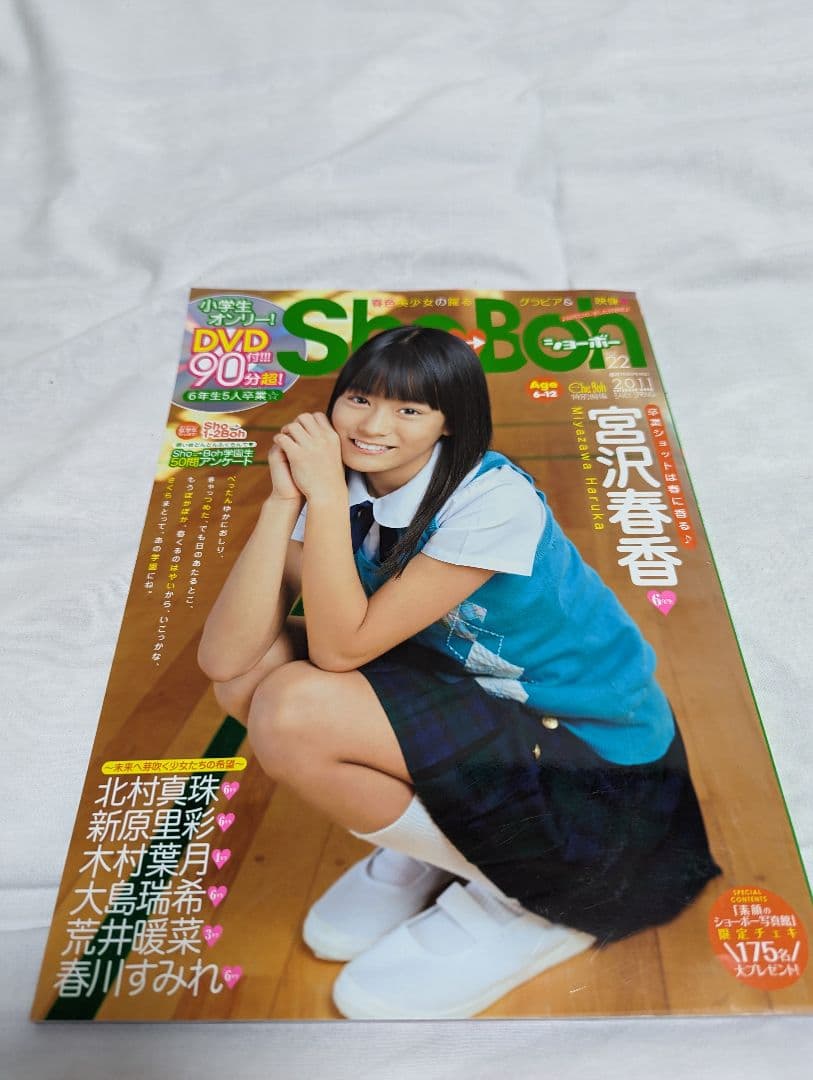 海王社ムック ShoBoh ショーボー Vol 22 DVD付き