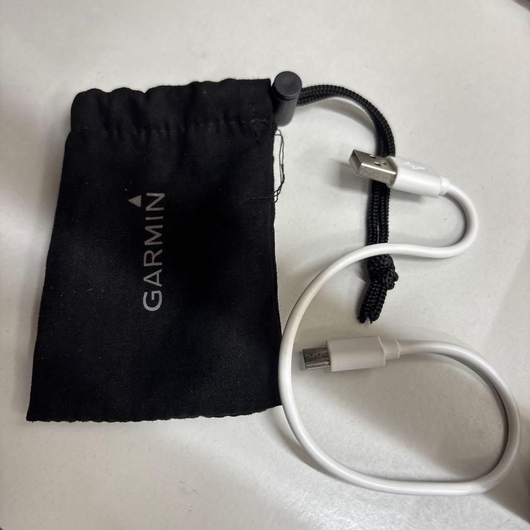 Garmin トゥルースイング ゴルフ用　TruSwing