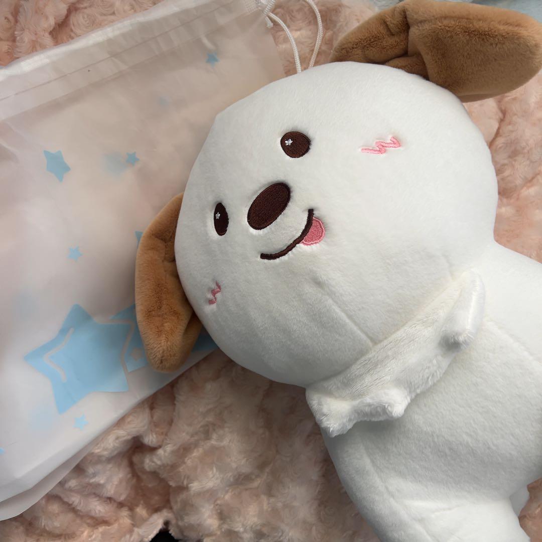 RIIZE アントン　ぬいぐるみ　モンリョンイ　40cmドール