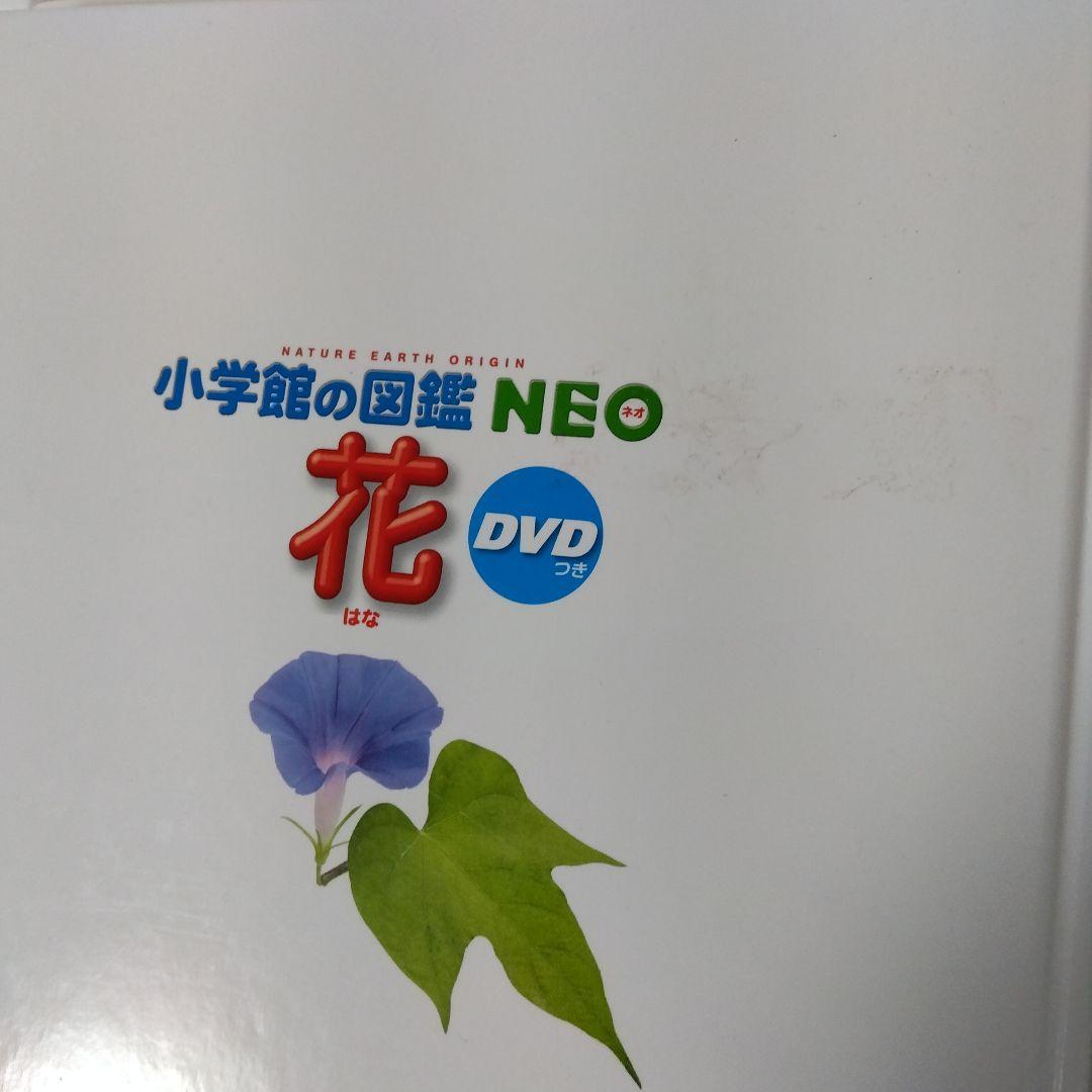 ウー様用【14冊】小学館の図鑑NEO　宇宙　魚　星と星座　地球　植物　人間