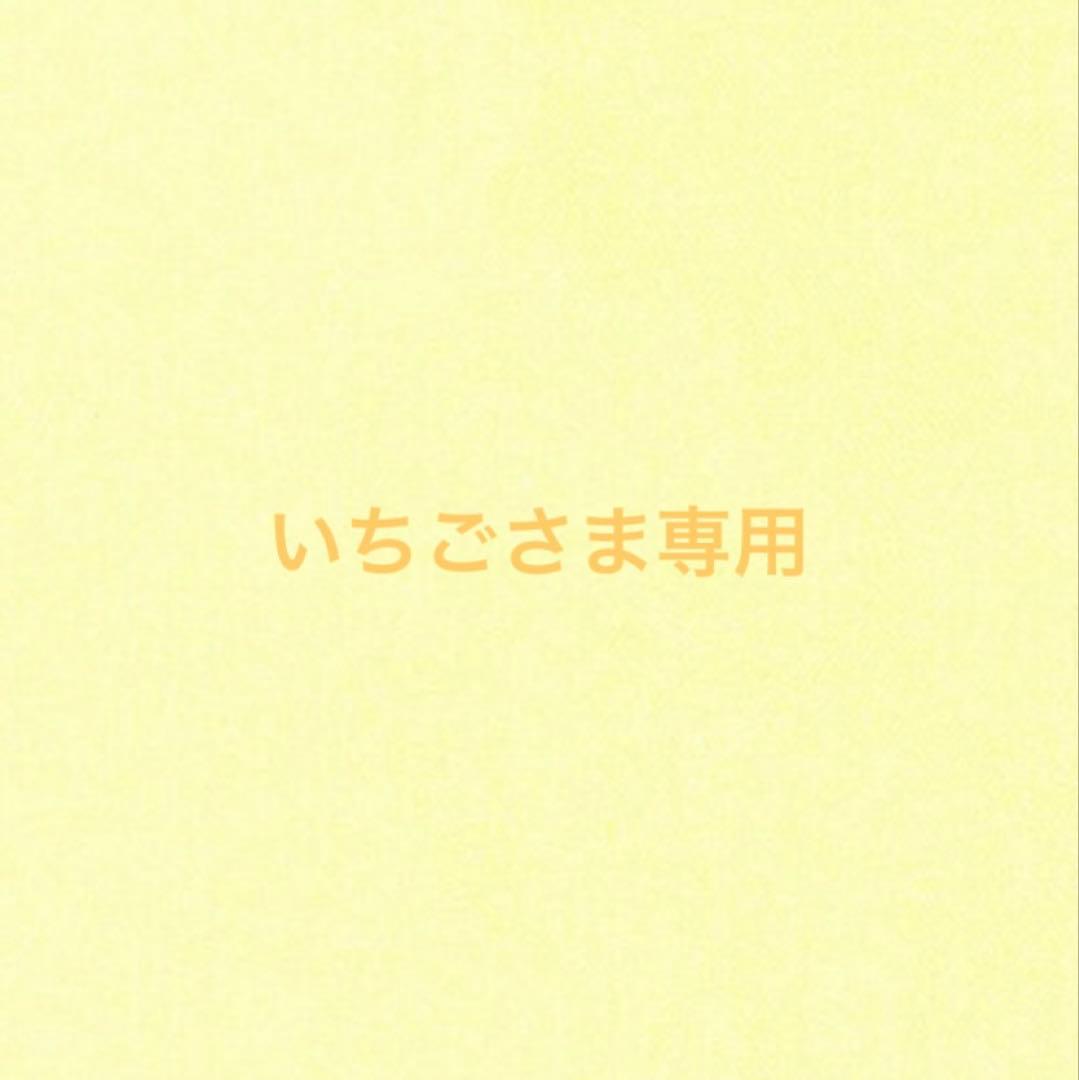 いちごさま専用