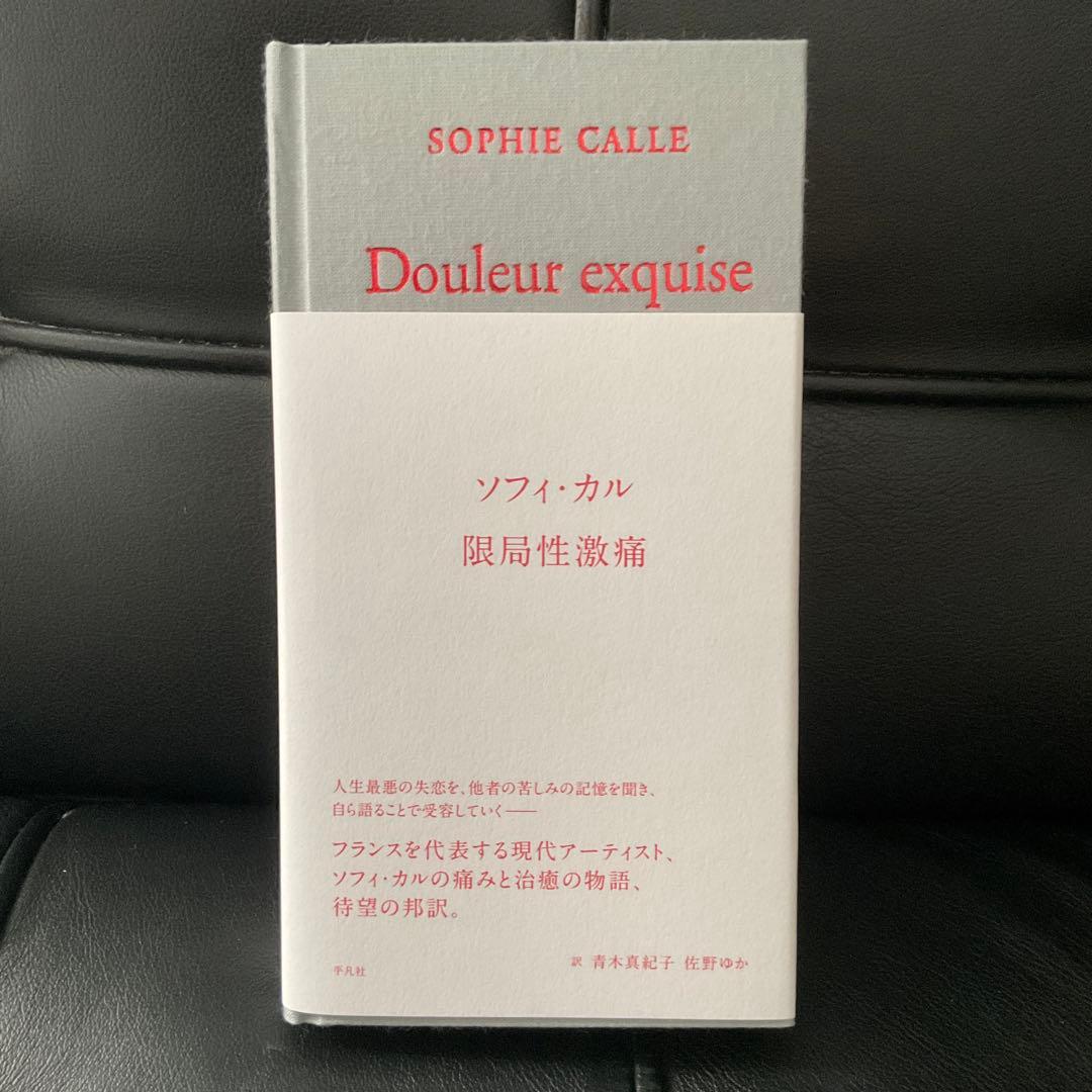 限局性激痛　ソフィ・カル