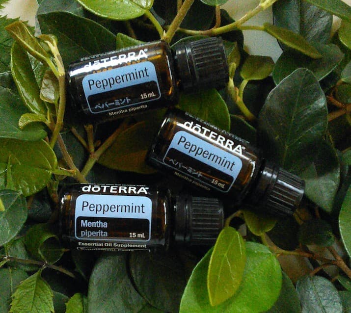 3本【新品 未開 最安】 doTERRA ペパーミント 15ml 27年代以降