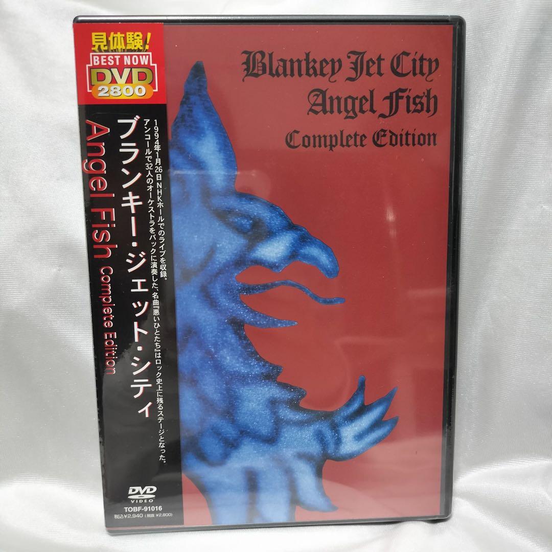 新品未開封 DVD Blankey Jet City Angel Fish