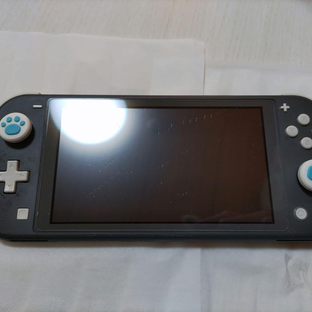Nintendo Switch Lite ブラック(ケース入り)