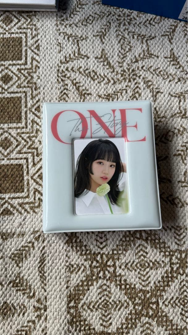 チェウォン トレカケース トレカ51枚セット 交通カード