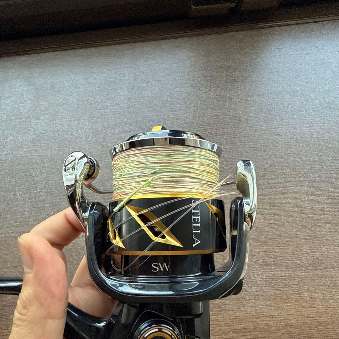 リール SHIMANO 20STELLA SW6000HG