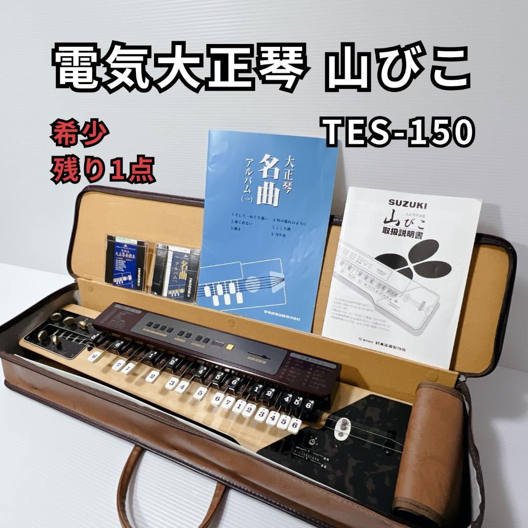 希少✨SUZUKI 電気大正琴 山びこ TES-150