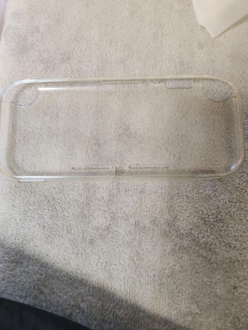 Switch Lite 本体のみ