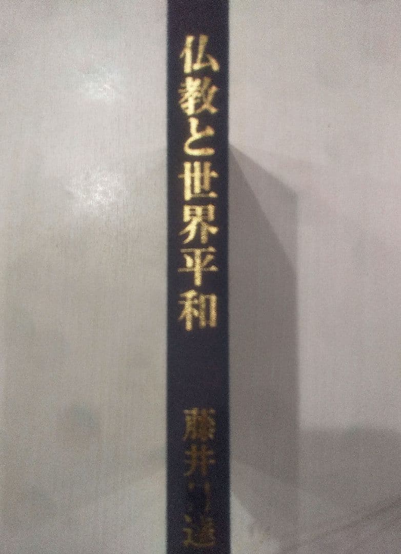 ☆貴重☆ 仏教と世界平和　藤井日達