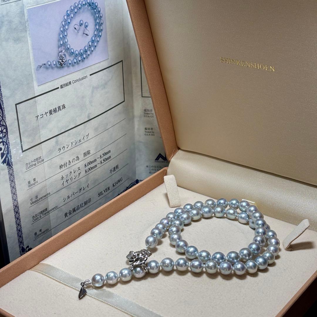 【テリ強 ✨鑑別書付き】あこや真珠　ブルーグレー　約8.0-8.5mm 本真珠