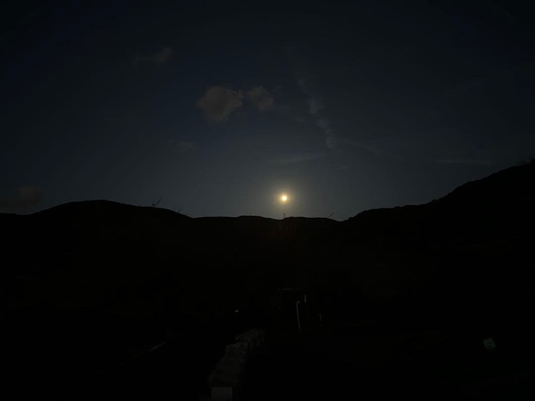 blue＊bird様 orderページ☽⋰