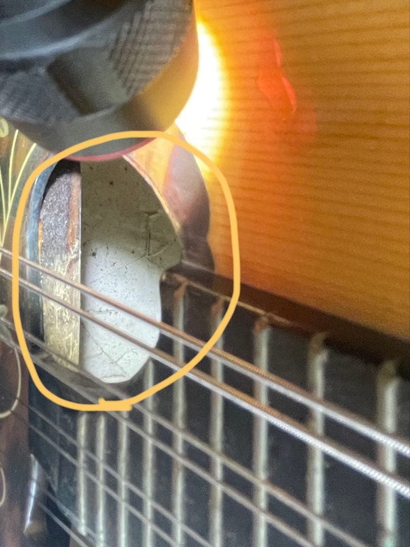 マンドリン　カラーチェ