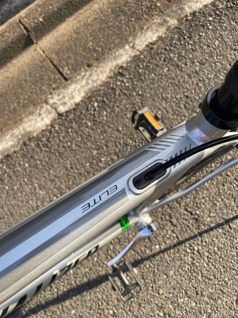 2月限定［都内近郊配送可能］Specialized Secteur