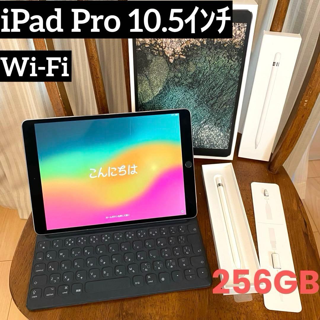 み*や様 (美品) iPad Pro 10.5インチ ApplePencil キ