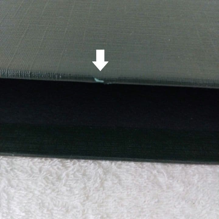 洋書・希少 CIBA医学イラスト集第8巻Ⅰ&Ⅱ フランクH.ネッター／英語版