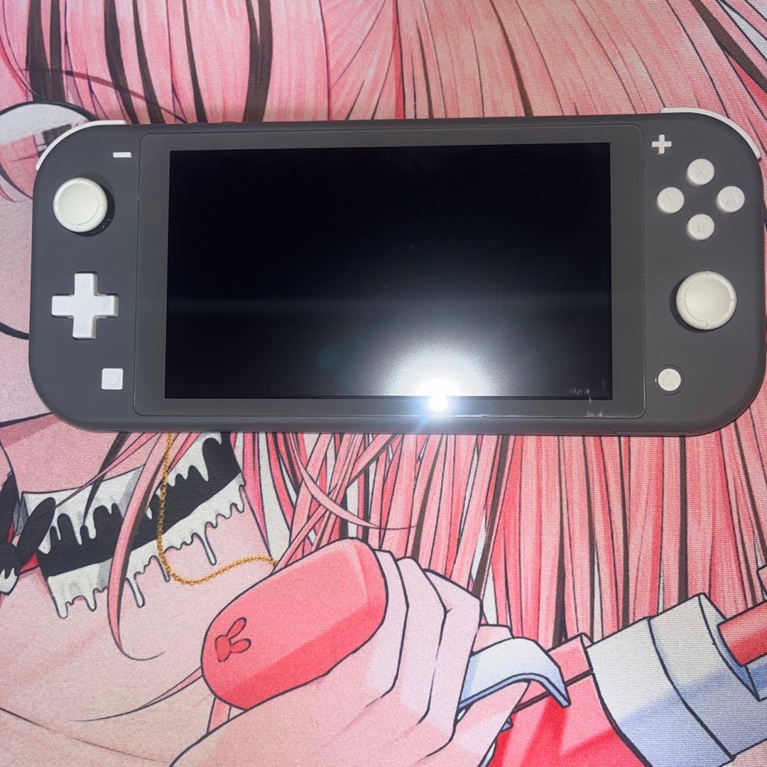 Nintendo SwitchLight グレー 本体のみ