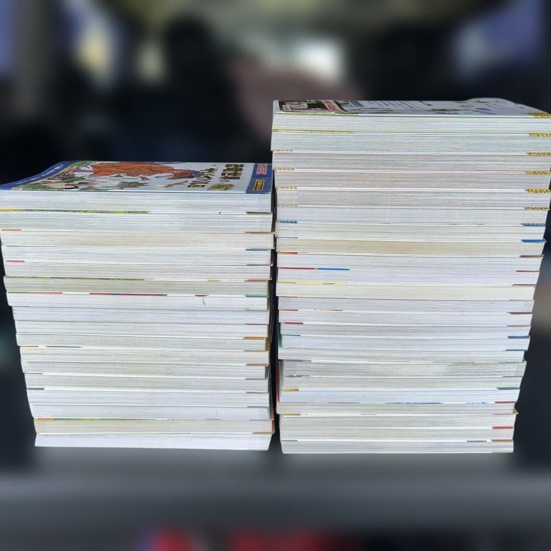 サバイバルシリーズ40冊セット❣️