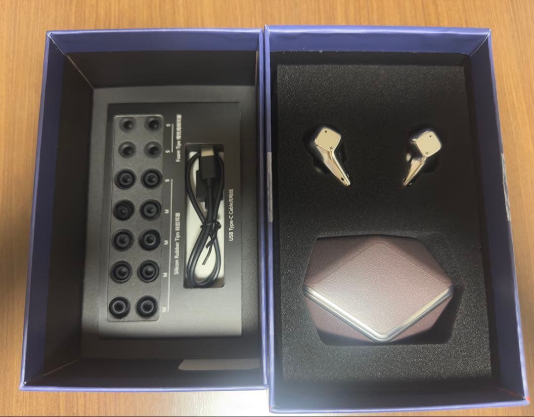 イヤホン HIFIMAN Svanar Wireless LE