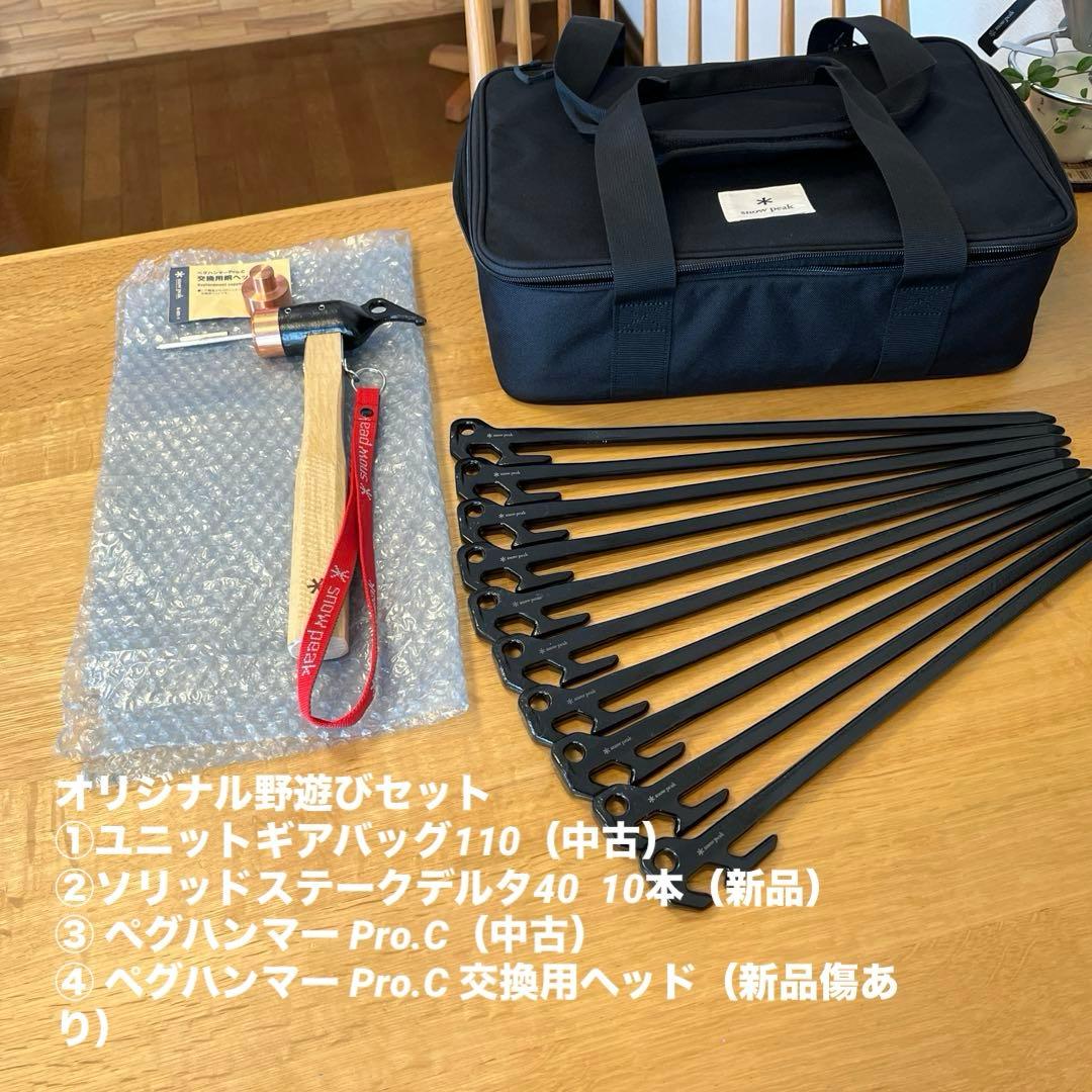 スノーピーク ユニットギアバッグ110＆ソリッドステークデルタ 40 10本