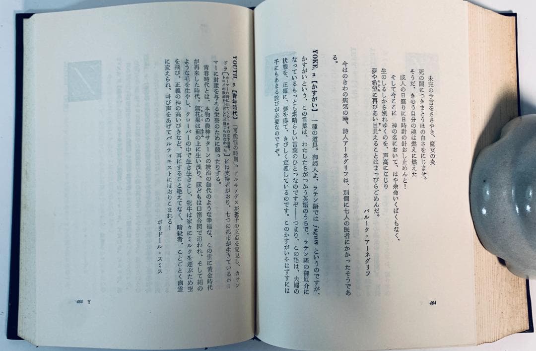 1973年、今から50年近く前の、超レア◆『悪魔の辞典』