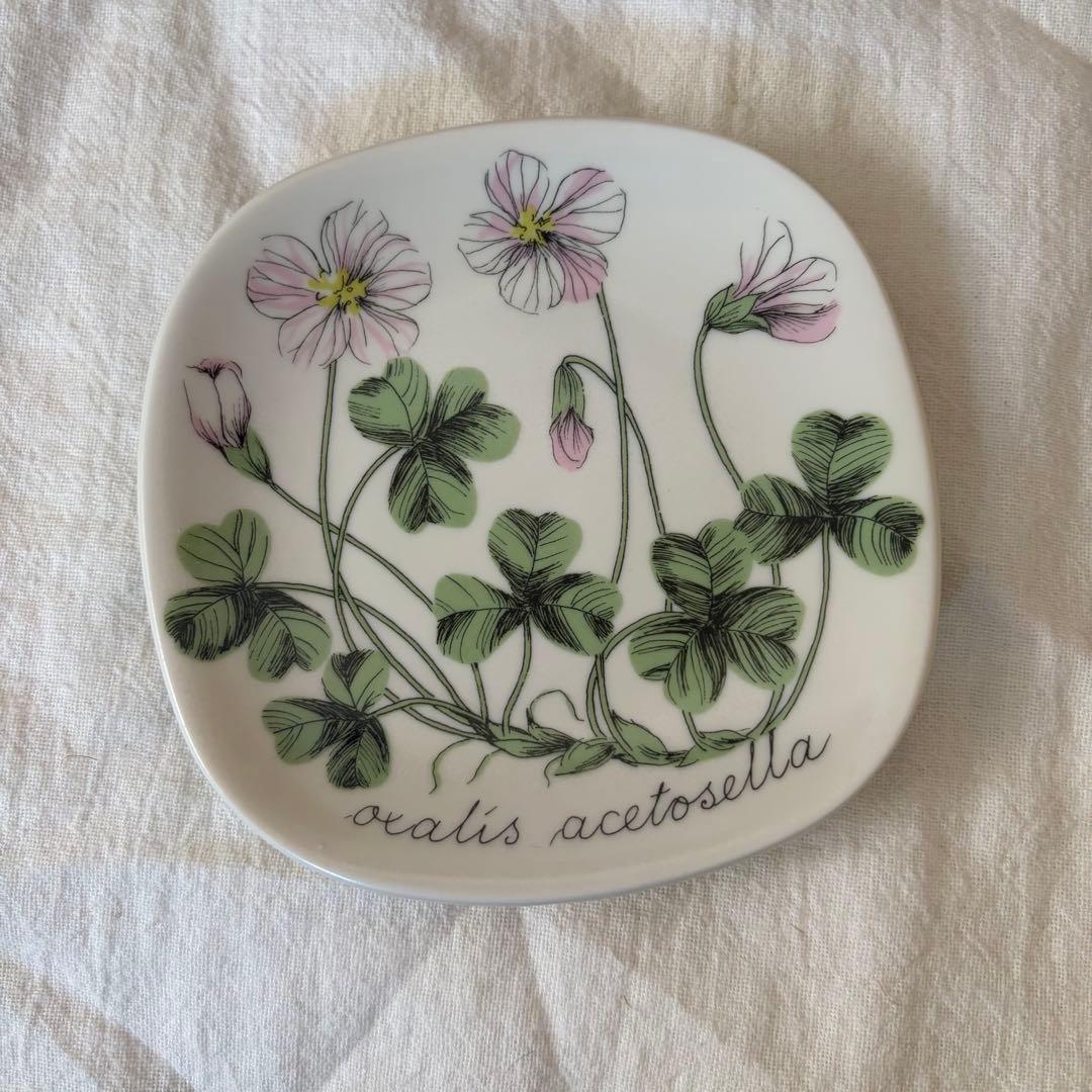 ARABIA ボタニカ　コミヤマカタバミ