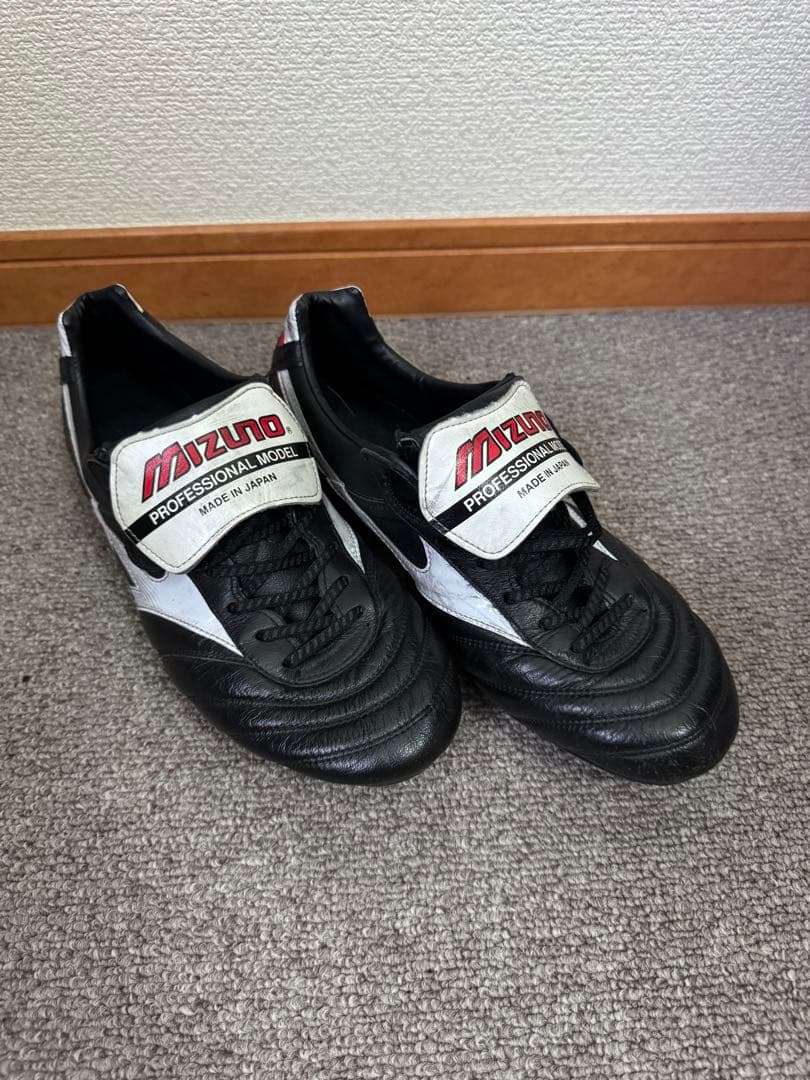 モレリア2 ロングタン