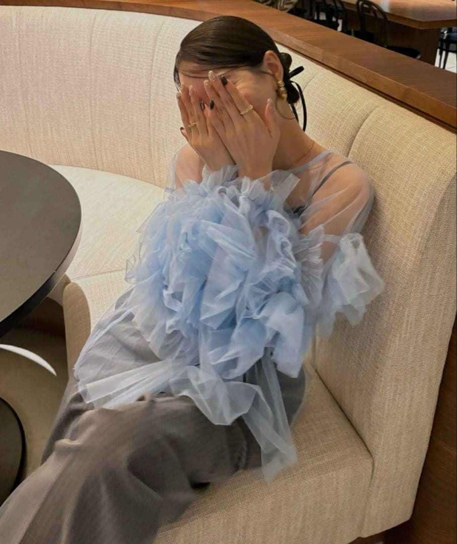 お値下げ！【タグ付き新品未使用】ANDRESD チュールトップス