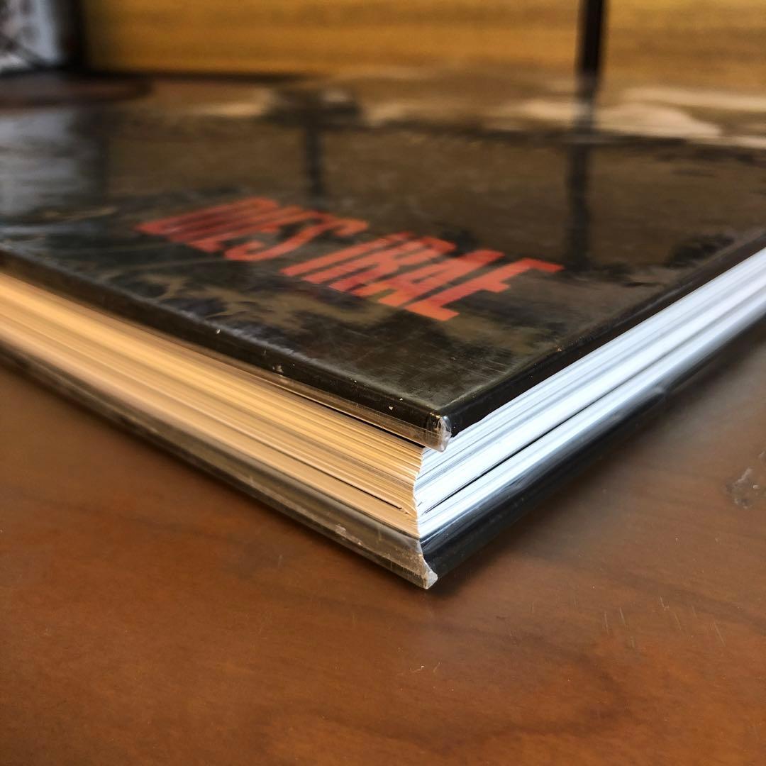 (珍しい本) DIES IRAE PAOLO PELLEGRIN (洋書)