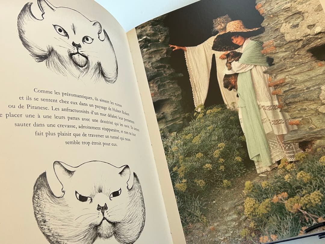 大型猫本Leonor Fini MIROIR DES CHATSレオノールフィニ