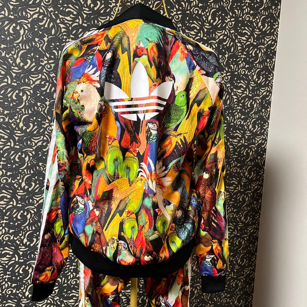 たらこ‼️adidas カラフル鳥プリント ジャージセット