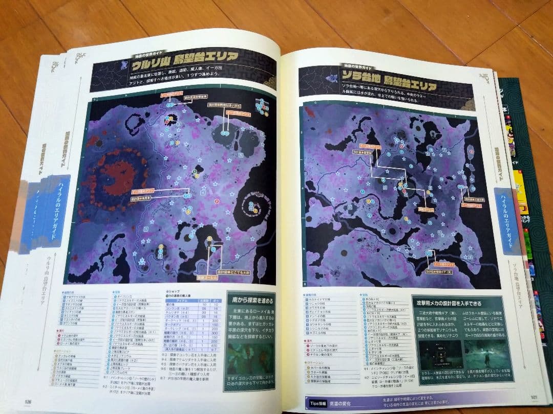 ゼルダの伝説 ティアーズ オブ ザ キングダム