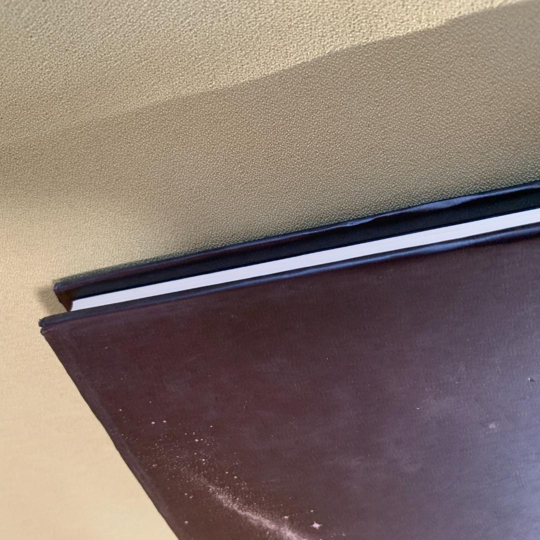 銀河蒼茫　野村秋介獄中句集【初版】